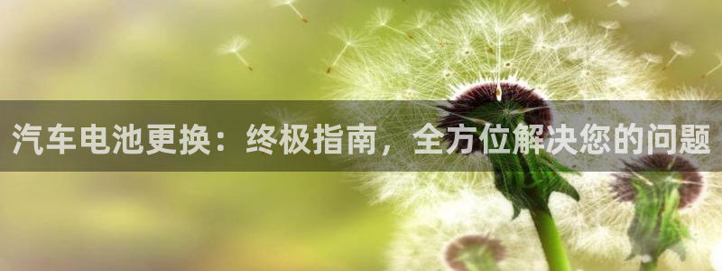 优发国际合并到哪里了