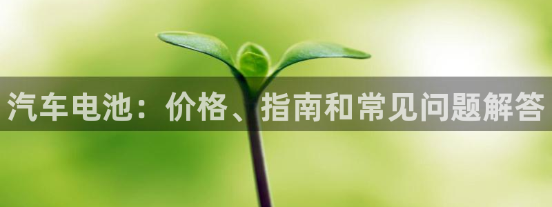 优发国际下载安装app
