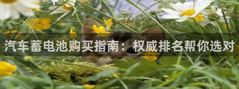 优发国际-触即发