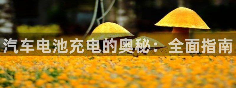 优发国际的官网是
