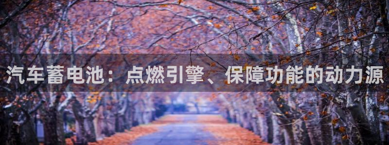 优发国际官网入口app下载