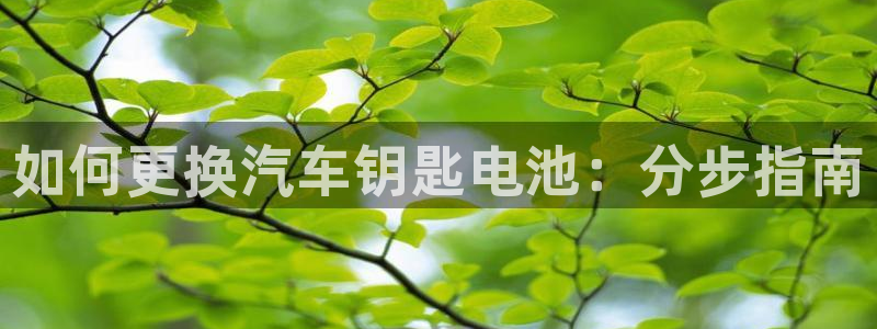 优发国际手机版官网