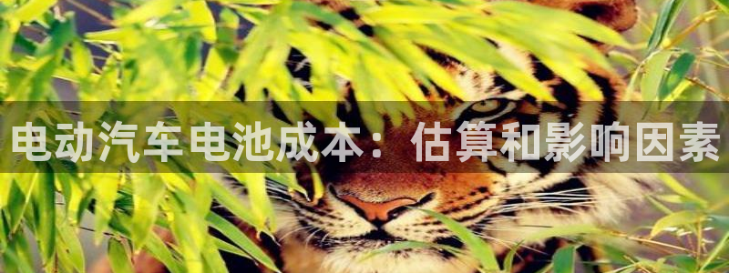 优发国际官网是多少号码