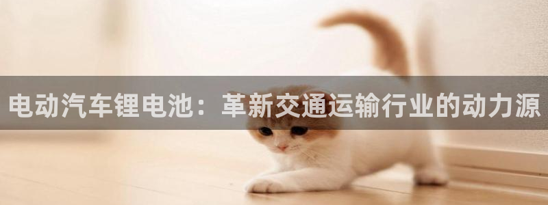 优发国际官网手机版app