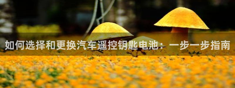 优发国际手机app下载安装苹果