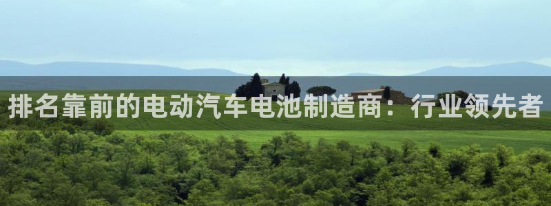 优发国际是大平台吗