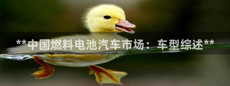 优发国际官网手机号