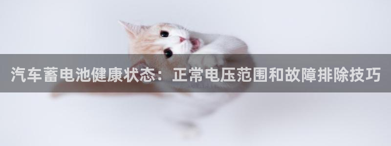 优发国际手机版唯一官网