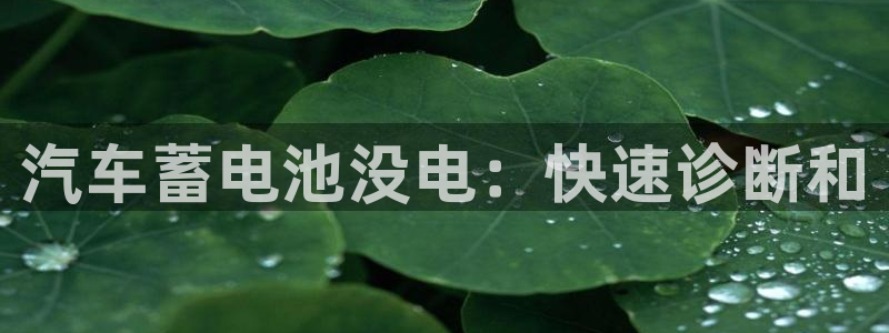 优发国际平台u8是什么