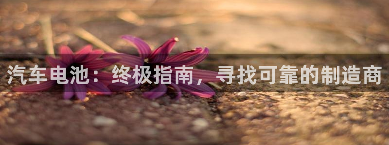 优发国际是什么