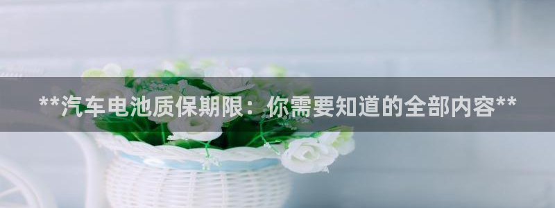 优发国际是大平台吗还是小平
