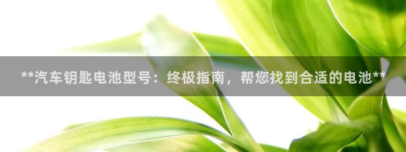 优发国际官网入口app下载