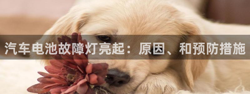 优发国际的网站是