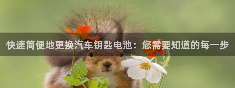 优发国际平台