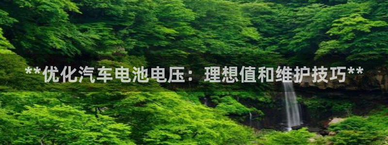 优发国际平台18