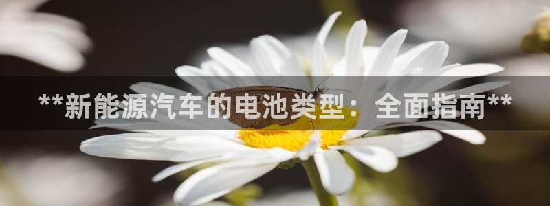 优发国际手机app下载安装苹果