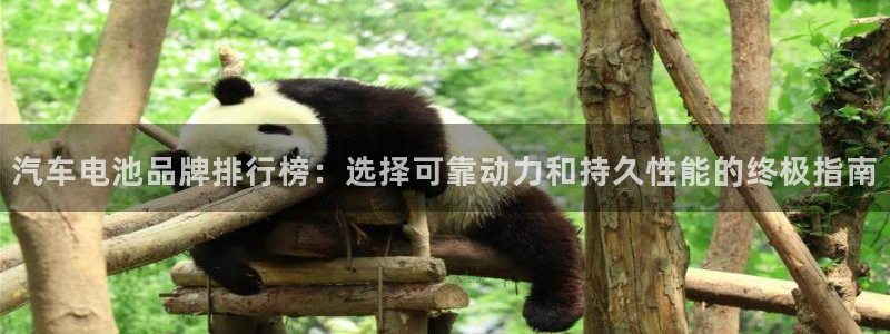 优发国际官网入口app下载安装