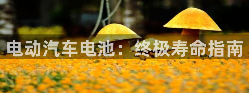 优发国际手机版网站官网