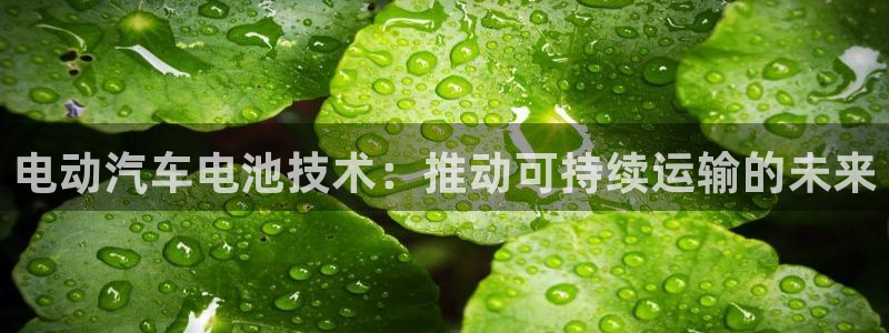 优发国际平台u8是什么