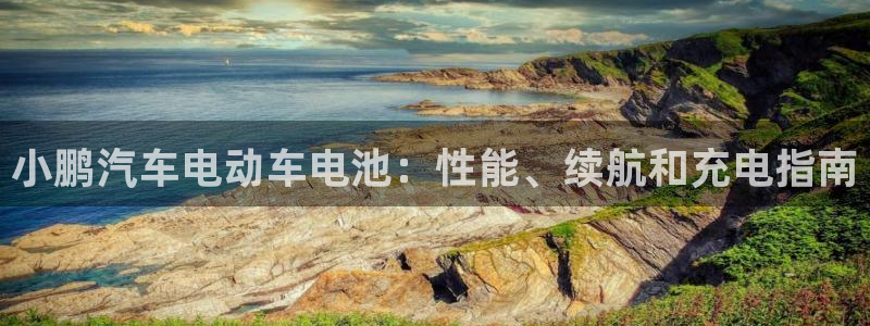 优发国际手机版客户端下载安装