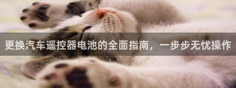 优发国际最新网站下载
