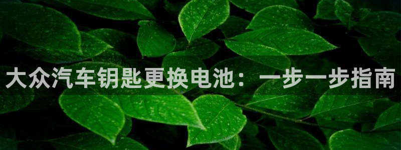 优发国际手机版下载官网