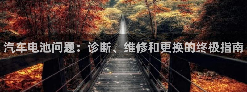 优发国际官方网平台登录