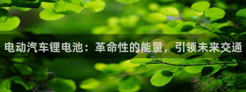 优发国际游戏官网