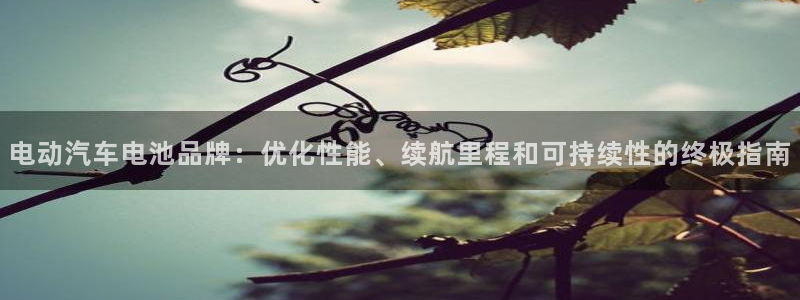 优发国际注册平台官网