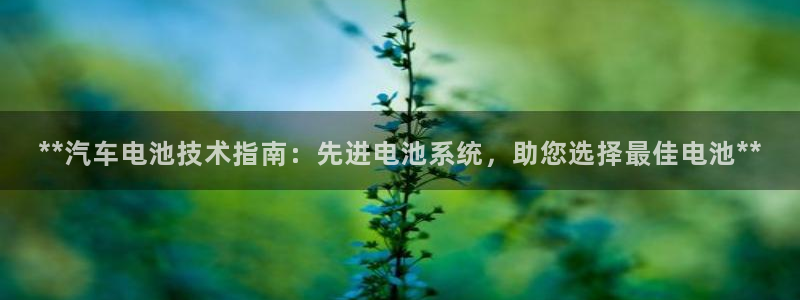 优发国际官网手机版入口