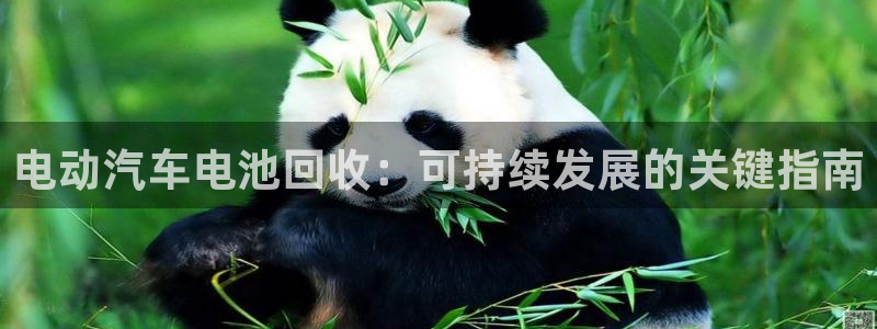 优发国际app官网下载安装苹果