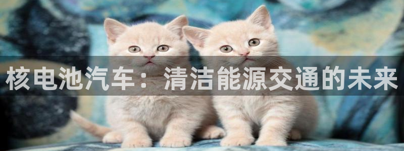 优发国际平台网站