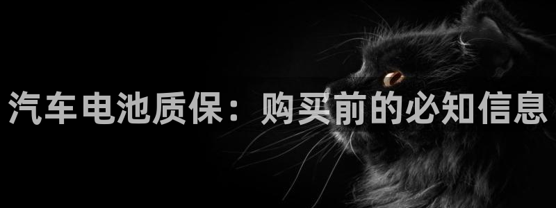 优发国际网官网17w8