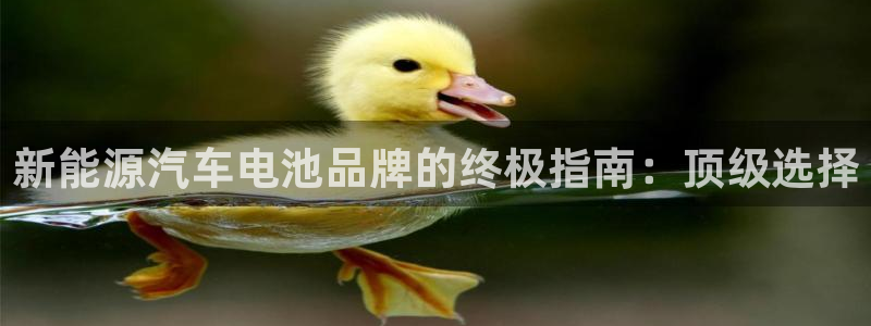 优发国际注册平台官网