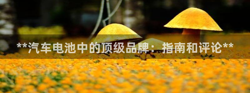 优发娱乐国际线上营业时间