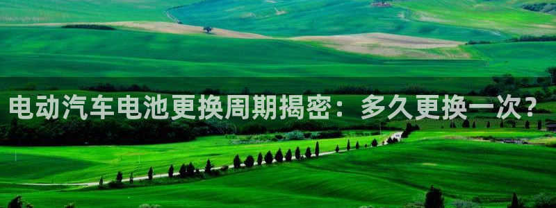 优发国际手机安装登录不了