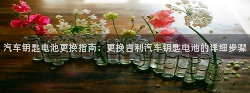 优发国际网官网17w8