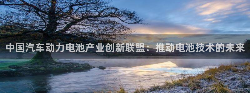 优发国际集团股份有限公司