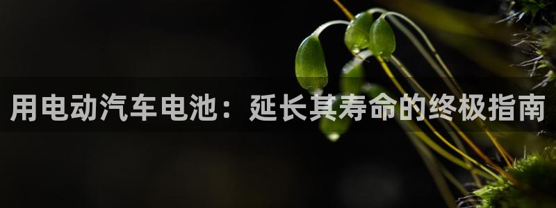 优发国际手机安装登录不了