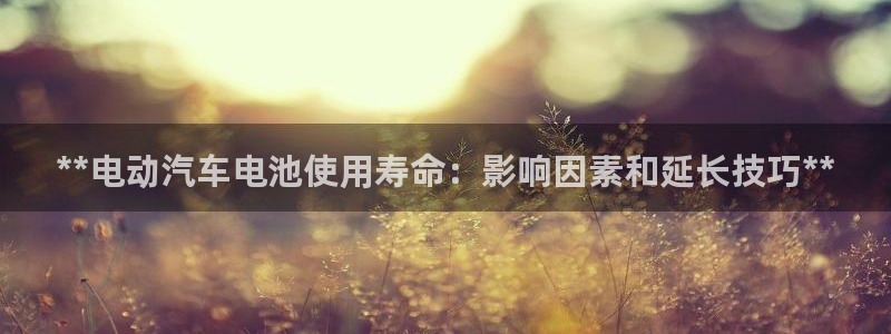 优发国际多少