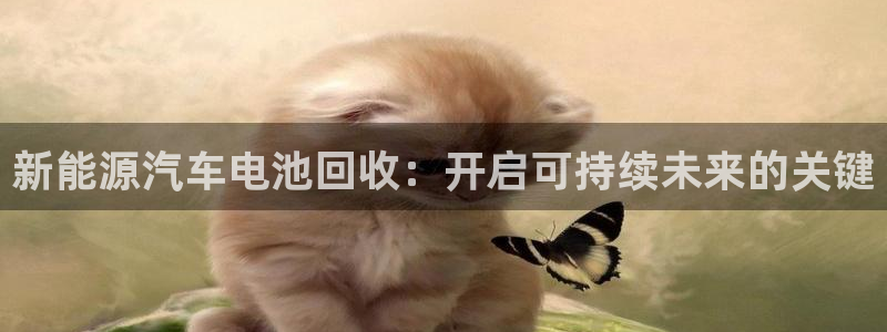 优发国际手机版网站入口