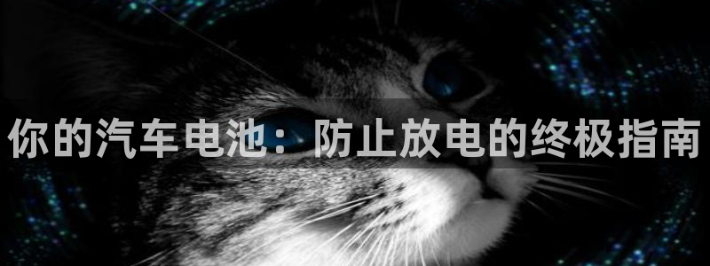 优发国际网官网17w80是什么