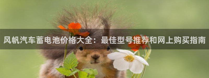 优发国际客服联系方式电话
