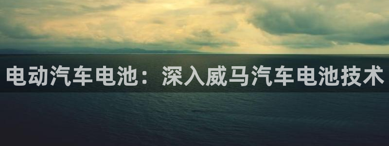 优发国际的官网是正品吗