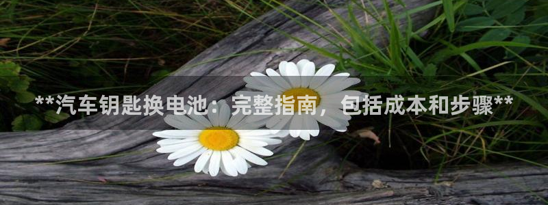 优发国际网官网