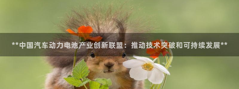 优发国际多少钱