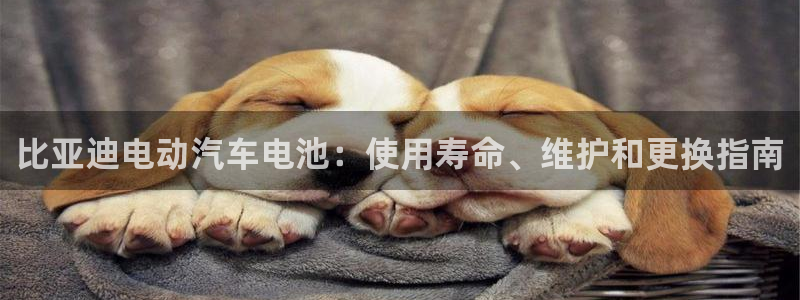 优发国际 干什么的