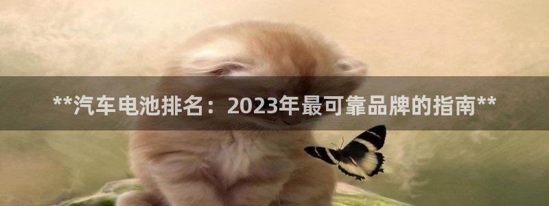 优发国际手机客户端怎么下载