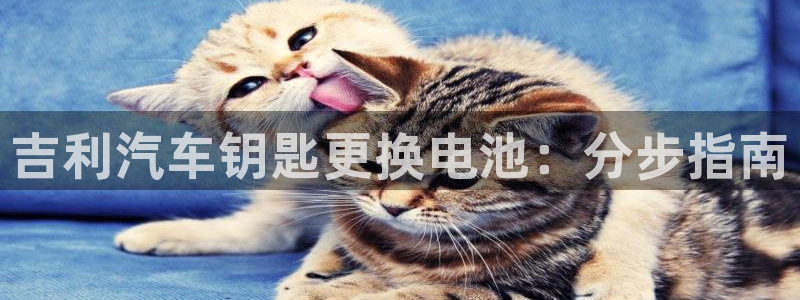 优发国际多少钱