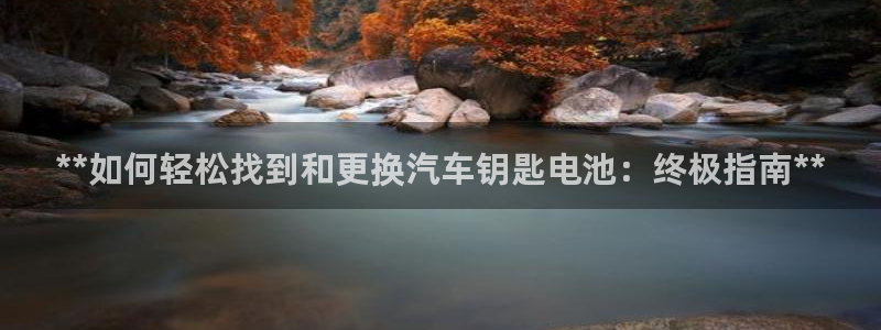 优发国际合并到哪里了